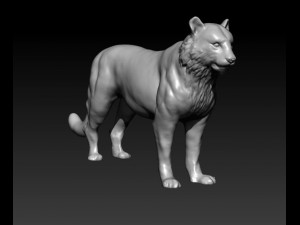 tiger 3D Model