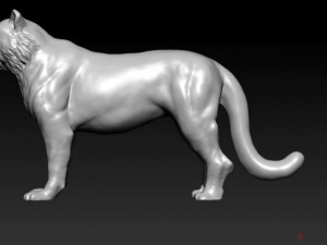 tiger 3D Model