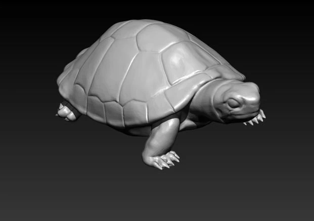turtle 3D Model .c4d .max .obj .3ds .fbx .stl .blend 