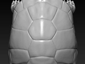turtle 3D Model