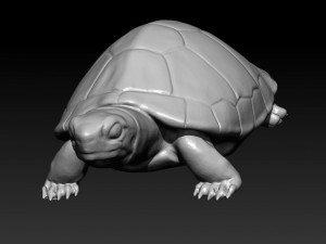turtle 3D-Modell