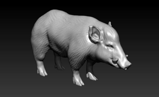 wild boar 3D 모델 .c4d .max .obj .3ds .fbx .stl .blend 