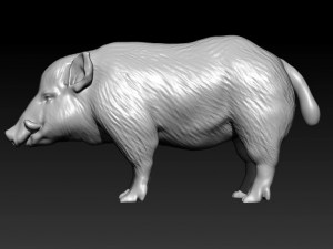 wild boar 3D 모델
