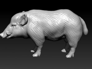 wild boar 3D 모델