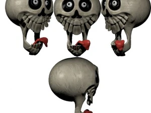 skull 3D Print Model