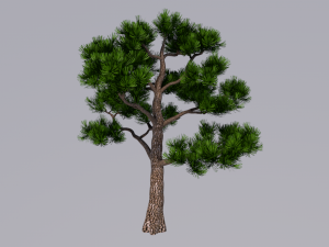 tree 3D मॉडल