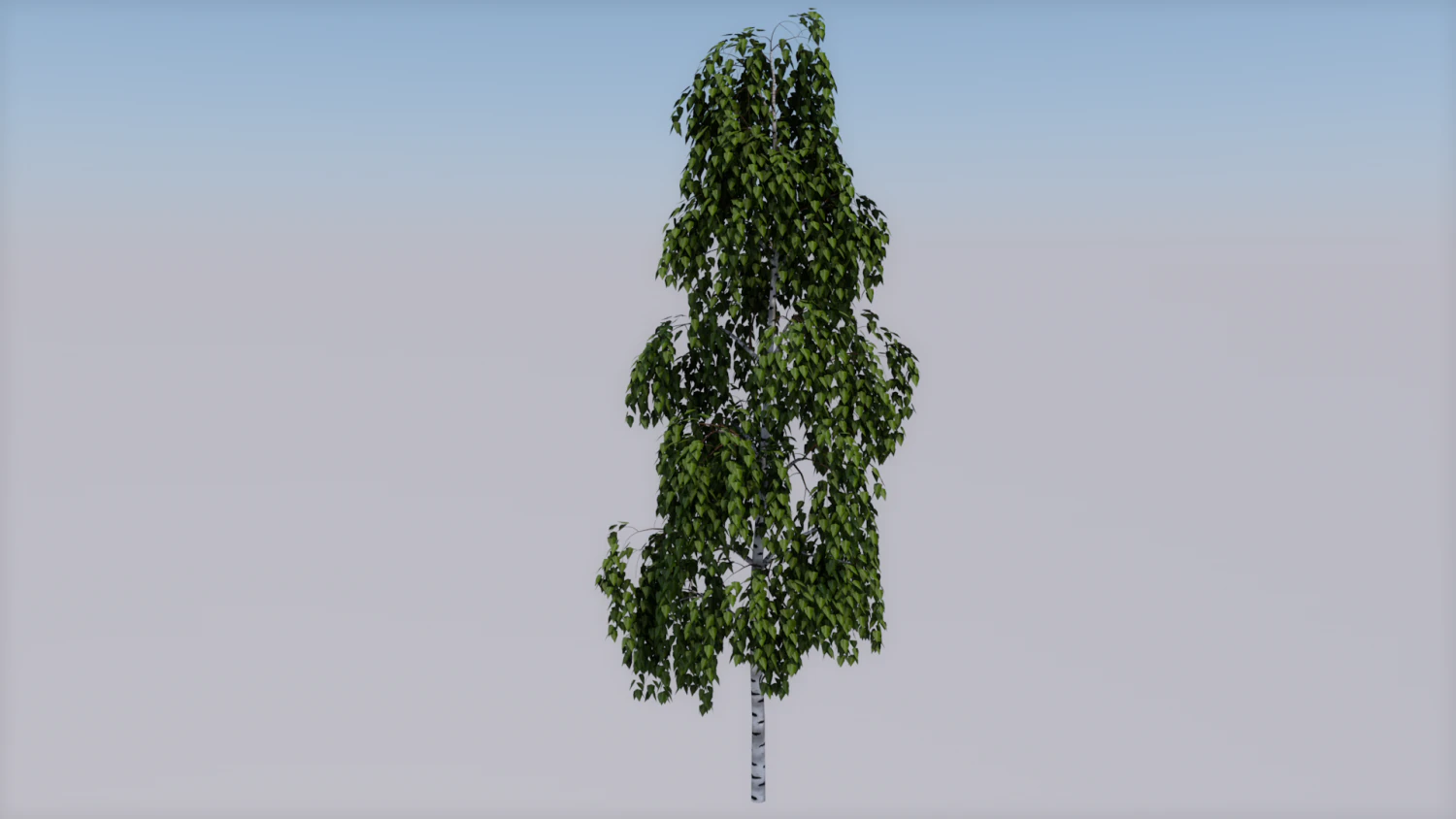 tree 3D Model .c4d .max .obj .3ds .fbx .stl .blend 