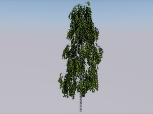 tree 3D Model