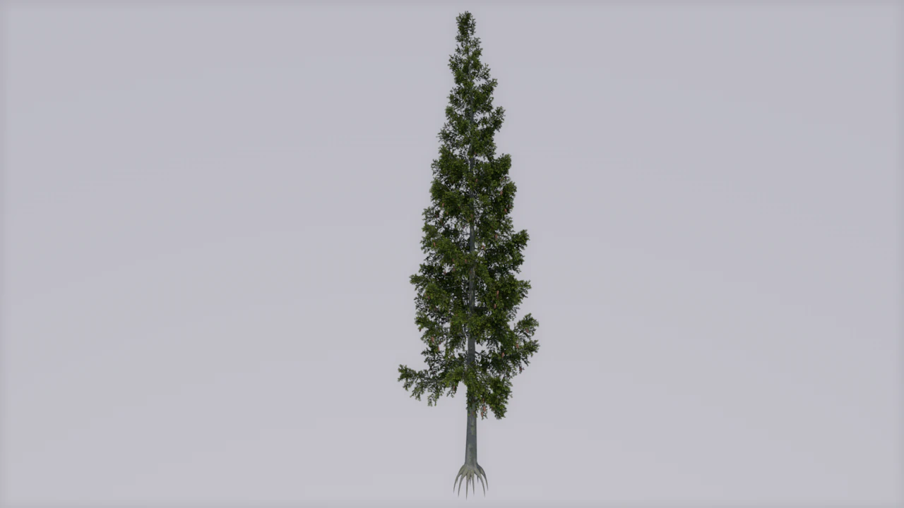 tree 3D Model .c4d .max .obj .3ds .fbx .stl .blend 