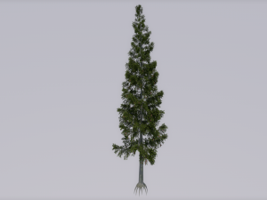 tree 3D Model