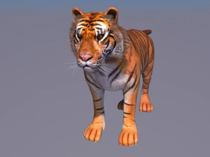 호랑이 3D 모델
