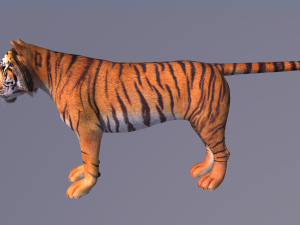 tiger 3D 모델