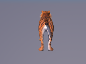 tiger 3D 모델