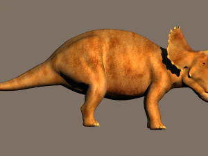 triceratops 3D Model