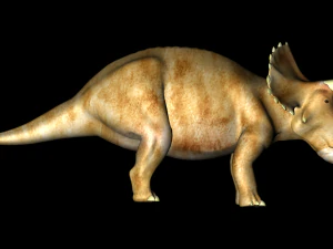 triceratops 3D Model