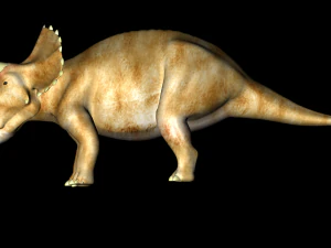 triceratops 3D Model