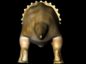 triceratops 3D Model