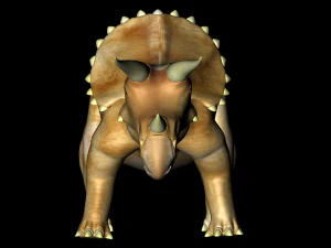 triceratops 3D Model