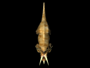 triceratops 3D Модель