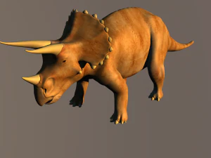 triceratops 3D मॉडल