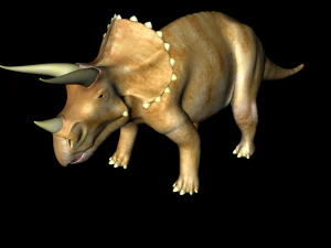 triceratops 3D Model