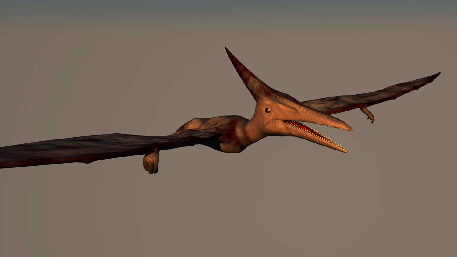 pterodactyl 3D Model .c4d .max .obj .3ds .fbx .stl .blend 