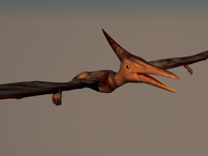 pterodactyl 3D Model