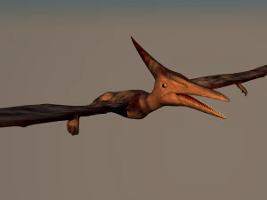 pterodaktyl Model 3D