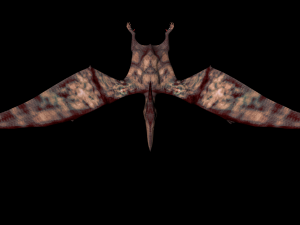 pterodactyl 3D Модель