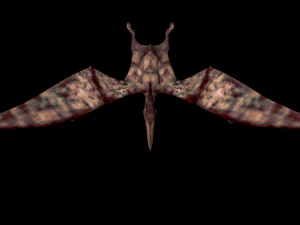 pterodactyl 3D Model