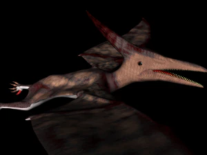pterodactyl 3D Model