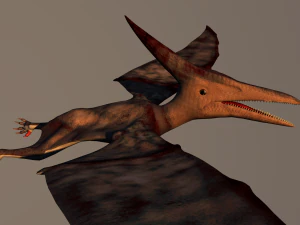 pterodactyl 3D Model