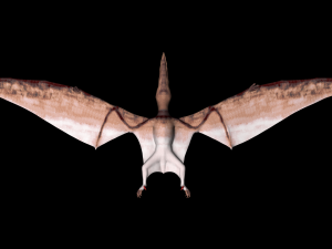 pterodactyl 3D Модель