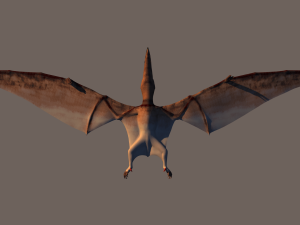 pterodactyl 3D Модель