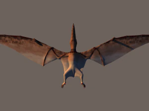 pterodactyl 3D Model