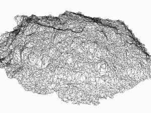 mound 3D 模型