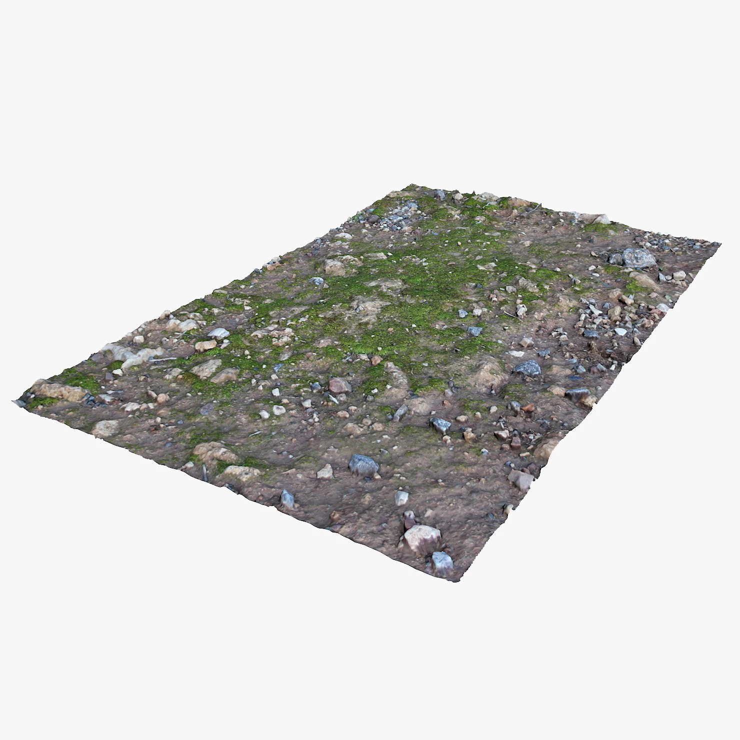 mossy ground 3D Model .c4d .max .obj .3ds .fbx .stl .blend 