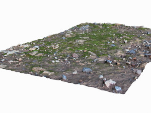 mossy ground Modelo 3D