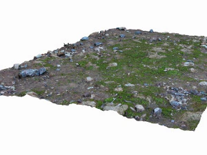mossy ground 3D Model