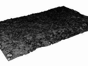 mossy ground 3D Model