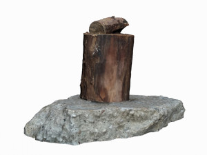 log 3D Модель
