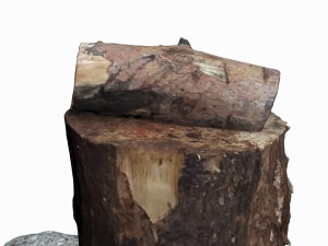 log 3D Модель