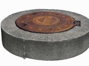 manhole cover Modello 3D