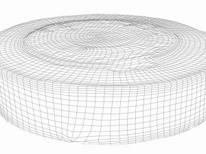 manhole cover 3D Model