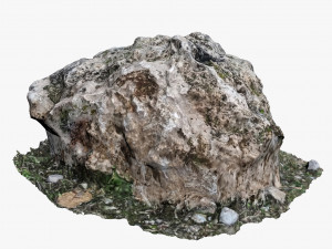 mossy rock Modelo 3D