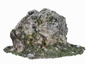 mossy rock Modelo 3D