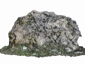 mossy rock 3D Model