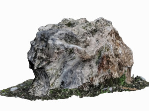 mossy rock Modelo 3D