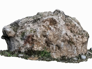 mossy rock Modelo 3D