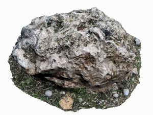 mossy rock Modelo 3D
